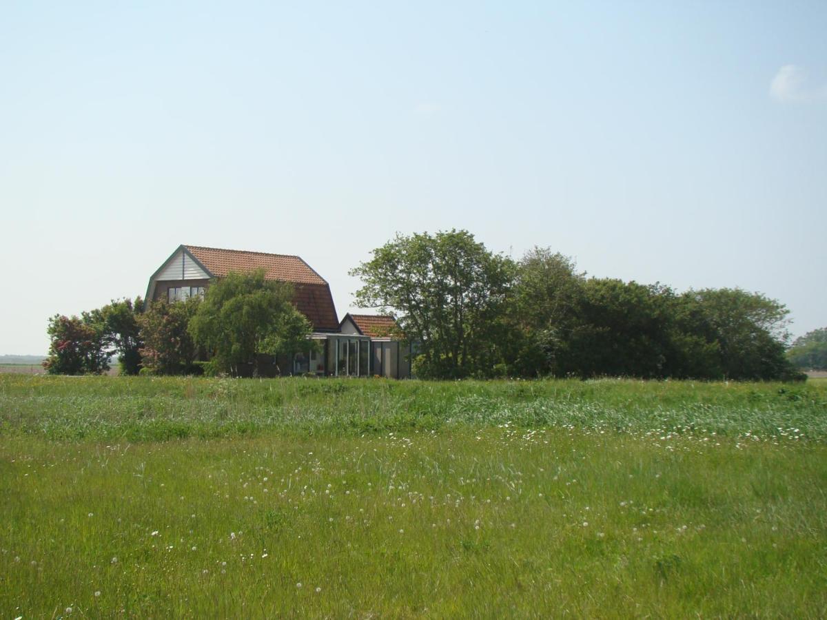 B&B Zuiderkreek De Cocksdorp  Luaran gambar